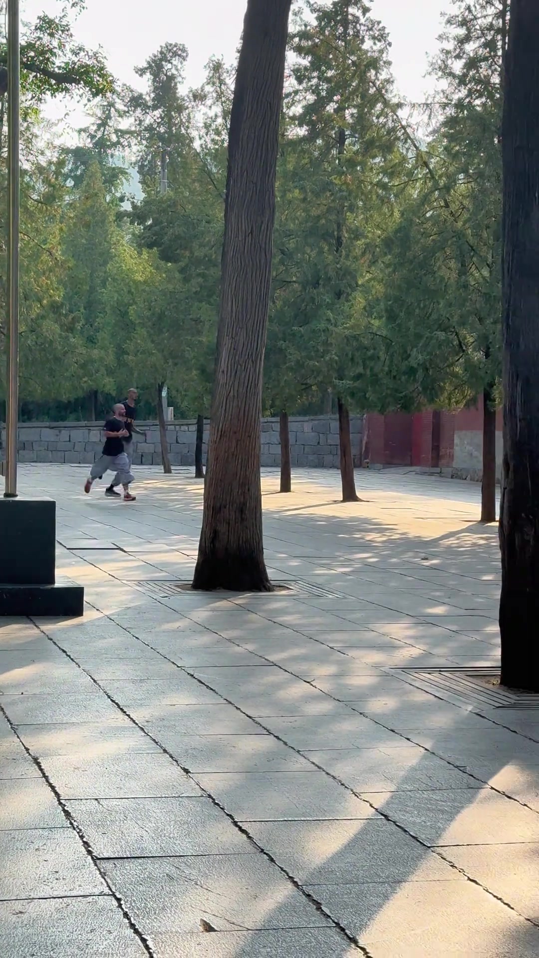 下山要闖十八銅人陣嗎少林寺第一高僧文班亞馬集訓的第五天