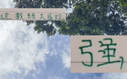 強觀大局！國安主帥輪換險致敗，多樣陣容更勝一籌。
