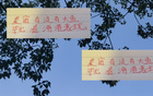 深圳申花等隊(duì)引外援國腳，夏窗期待海港大魚。