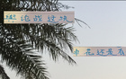 事出反常，申花老謀深算，勝后申訴，輿論戰(zhàn)不簡單。