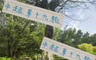 周末申花云南高原賽，阿蘇埃赤道南能否進(jìn)第四球？
