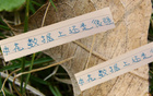 申花領(lǐng)跑榜首，進(jìn)球數(shù)第一，失球倒數(shù)第二少，18輪不?。? title=