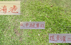 海港近榜首僅差4分，萊昂納多投資值得。