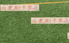 萊奧納多再勝河南，社交發(fā)文如海港8號奧斯卡。