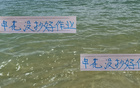 申花未精進(jìn)，海港無(wú)慮外援歸國(guó)。