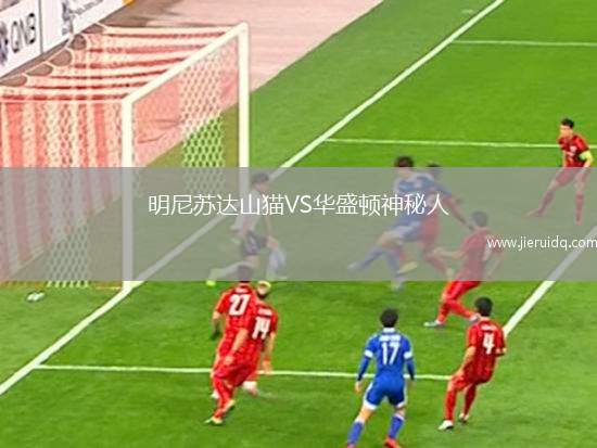 明尼蘇達山貓VS華盛頓神秘人