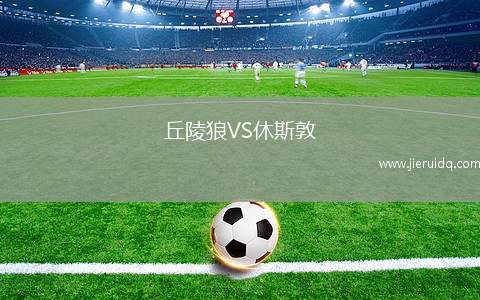 丘陵狼VS休斯敦