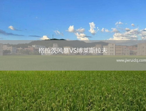 格拉茨風(fēng)暴VS博萊斯拉夫