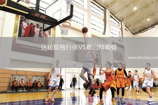 達(dá)拉斯獨行俠VS夏洛特黃蜂