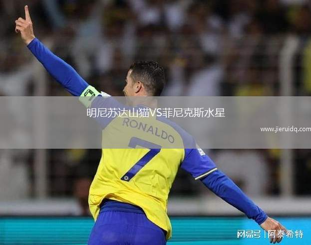 明尼蘇達(dá)山貓VS菲尼克斯水星
