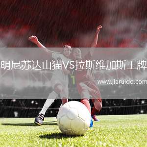明尼蘇達(dá)山貓VS拉斯維加斯王牌