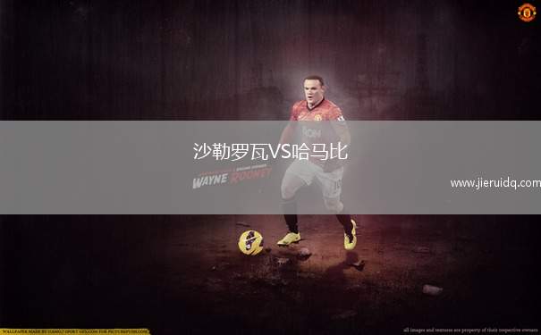 沙勒羅瓦VS哈馬比