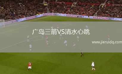 廣島三箭VS清水心跳