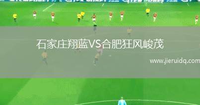 石家莊翔藍VS合肥狂風(fēng)峻茂