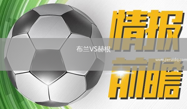 布蘭VS赫根