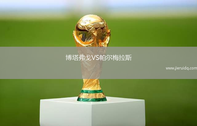 博塔弗戈VS帕爾梅拉斯
