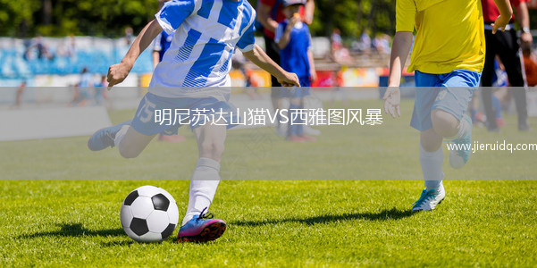 明尼蘇達(dá)山貓VS西雅圖風(fēng)暴