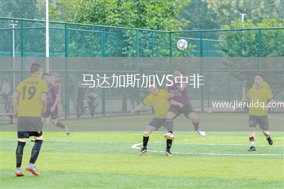 馬達(dá)加斯加VS中非
